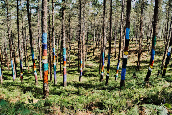 3-Arcoiris-copia 3-Arcoiris-copia