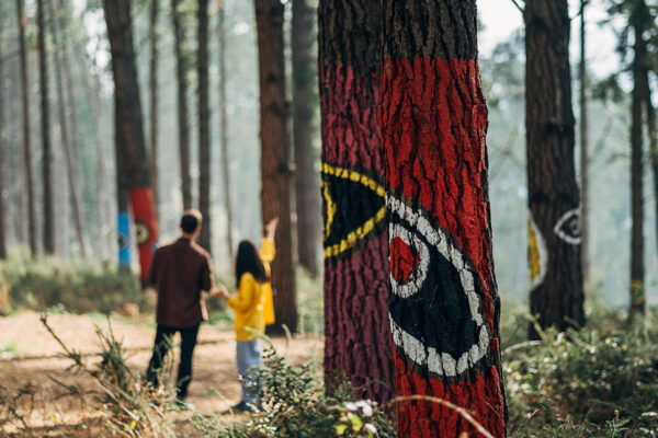 DSC06398-copia DSC06398-copia