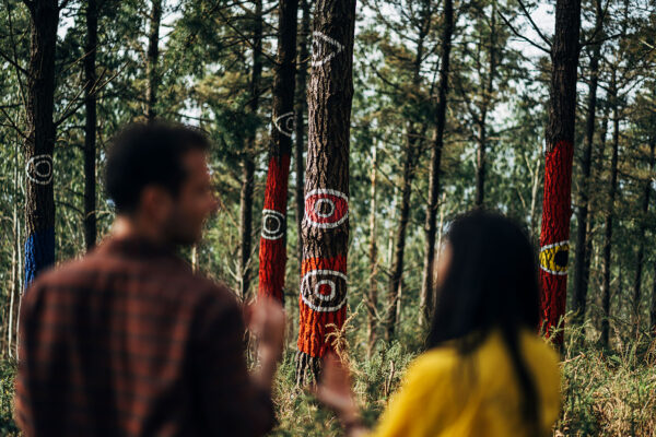 DSC06413-copia DSC06413-copia