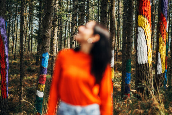 DSC06451-copia DSC06451-copia